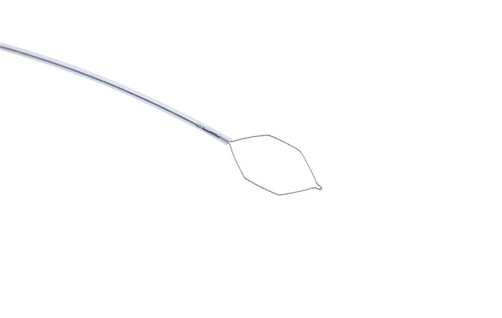 Endoscopy Cold Snare